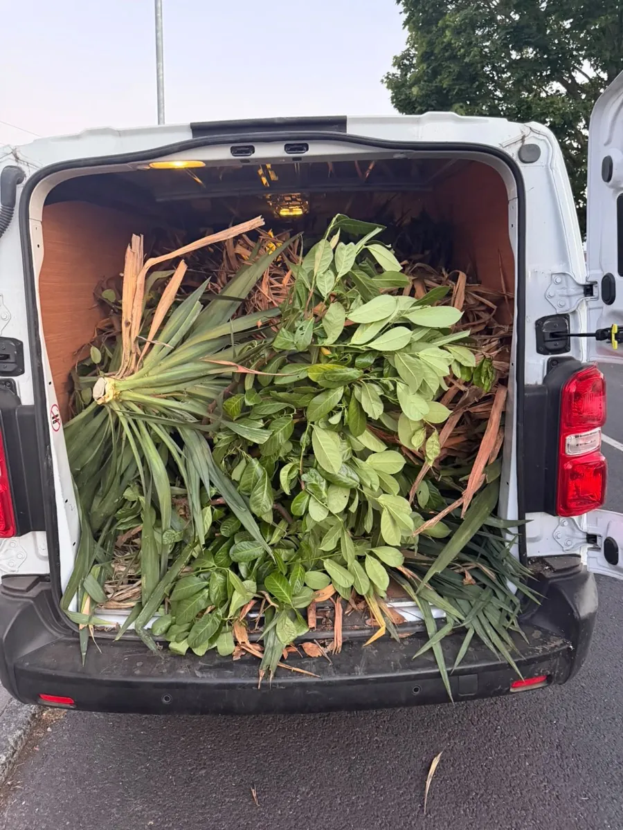 Van loaded with palm fronds, laurel cuttings and green waste collected from a garden waste removal job in Ealing