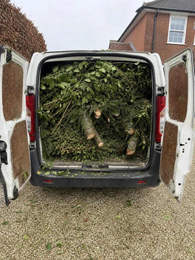 A white panel van with rear doors open, packed to the roof with cut conifer limbs and leafy branches, on a gravel drive