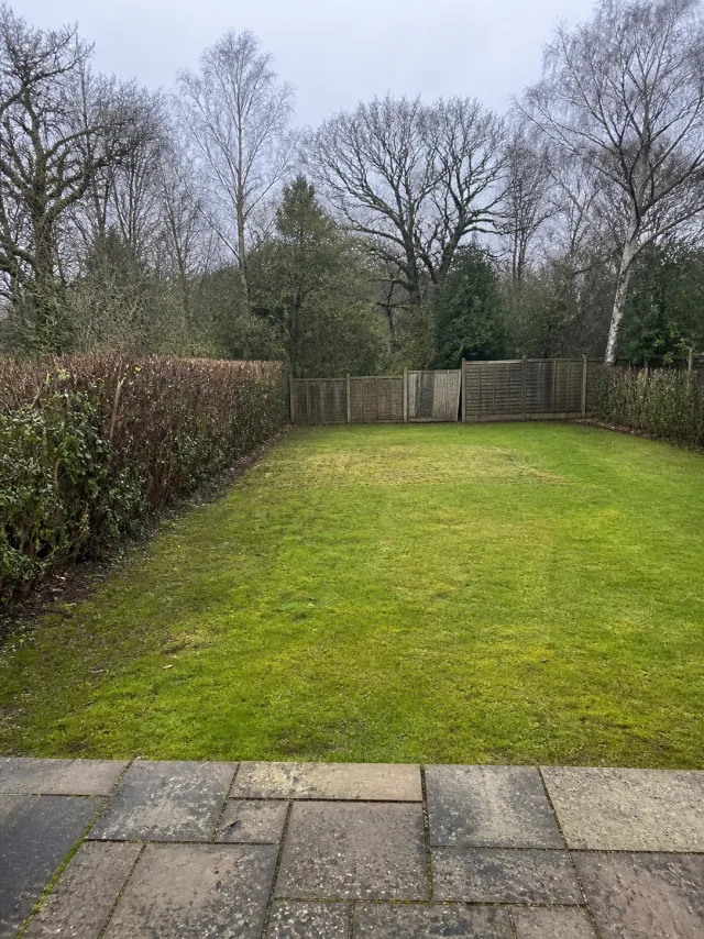 The same lawn photographed from the same position, cleared, with a flattened patch where the heap stood